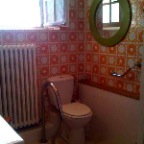 granny flat bath room
