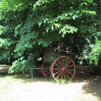 back garden cart 